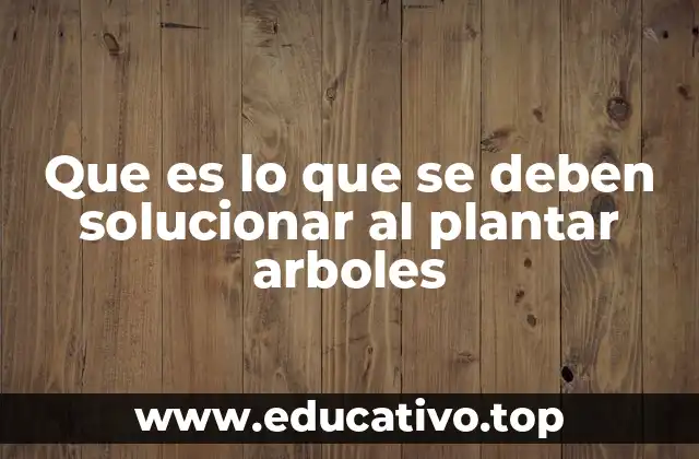 Que es lo que se deben solucionar al plantar arboles