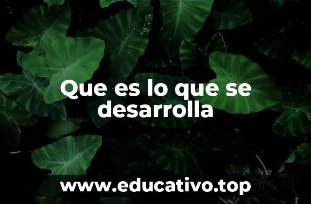 Que es lo que se desarrolla