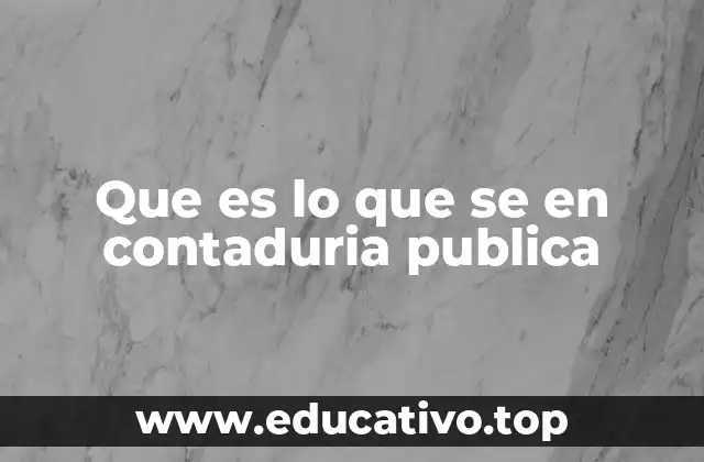 Que es lo que se en contaduria publica