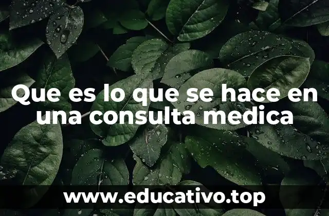 Que es lo que se hace en una consulta medica