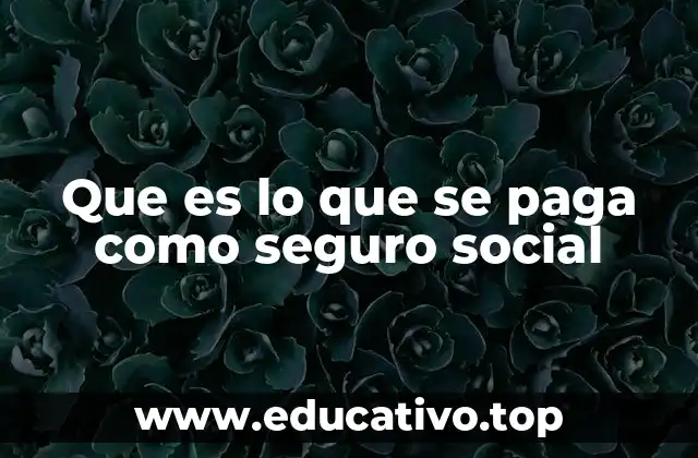 Que es lo que se paga como seguro social