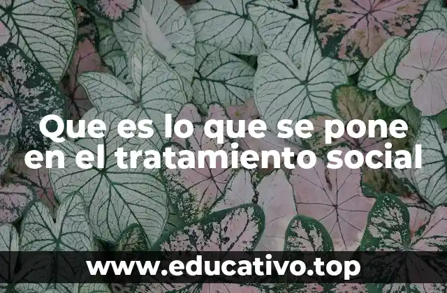 Que es lo que se pone en el tratamiento social