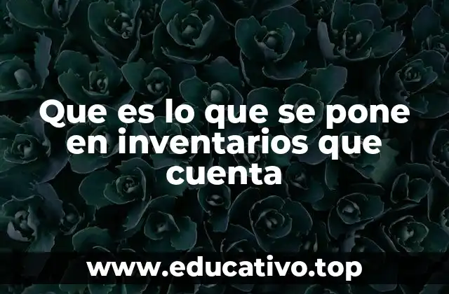 Que es lo que se pone en inventarios que cuenta