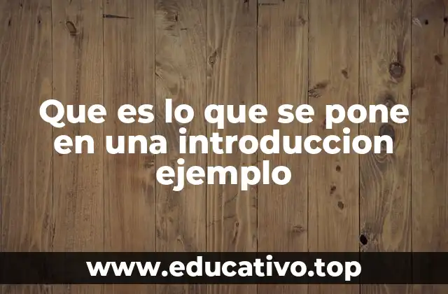 Que es lo que se pone en una introduccion ejemplo