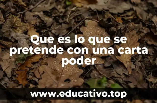Que es lo que se pretende con una carta poder