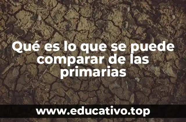 Cómo las primarias reflejan la diversidad política