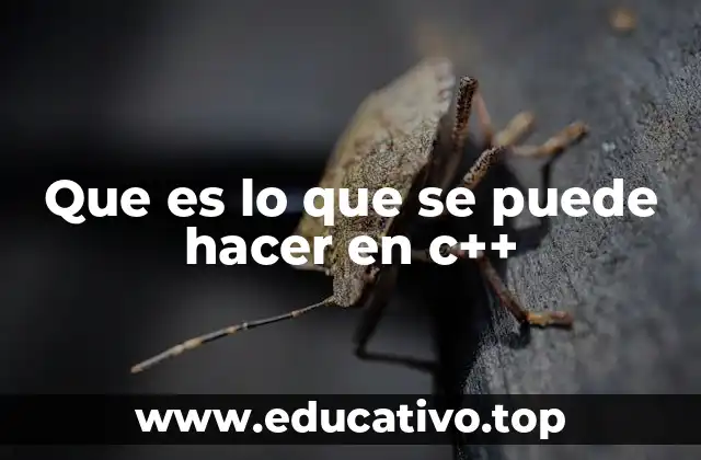 Las posibilidades de C++ en el desarrollo moderno