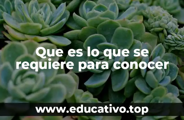 Que es lo que se requiere para conocer