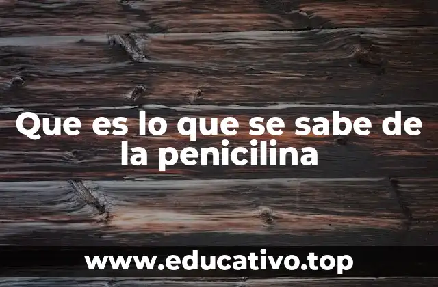 Que es lo que se sabe de la penicilina