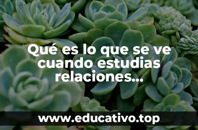 Qué es lo que se ve cuando estudias relaciones internacionales