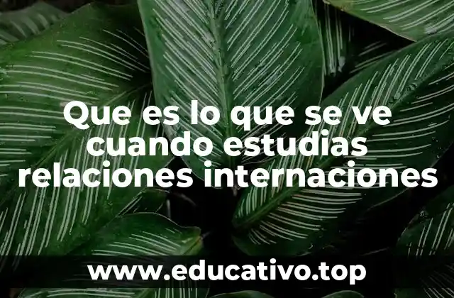 Que es lo que se ve cuando estudias relaciones internaciones