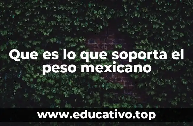 Que es lo que soporta el peso mexicano