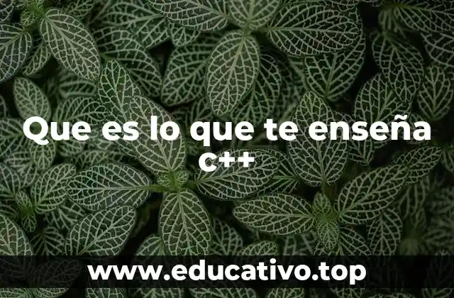 Que es lo que te enseña c++