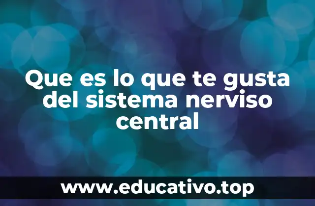 Que es lo que te gusta del sistema nerviso central