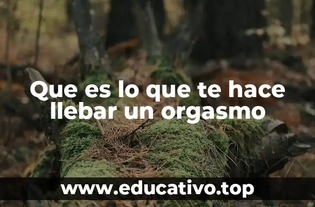 Que es lo que te hace llebar un orgasmo