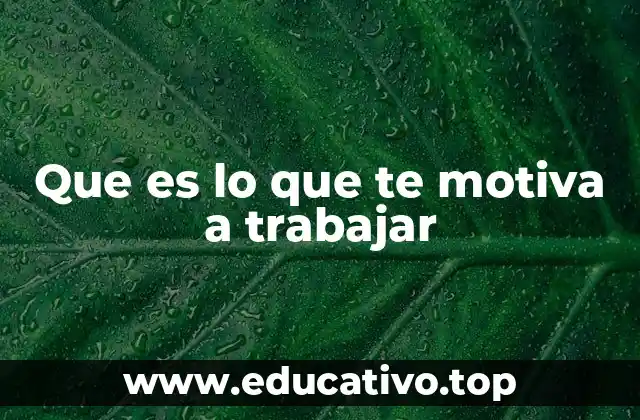Cómo la motivación laboral influye en el desempeño y bienestar