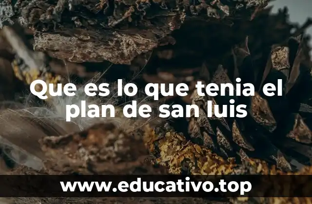 Que es lo que tenia el plan de san luis
