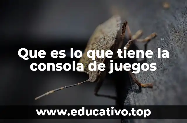 Que es lo que tiene la consola de juegos