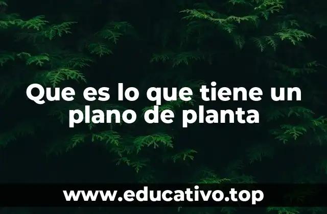 Que es lo que tiene un plano de planta