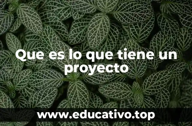 Que es lo que tiene un proyecto