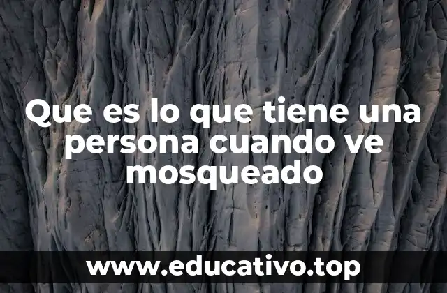 Que es lo que tiene una persona cuando ve mosqueado