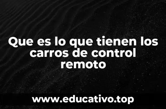 Que es lo que tienen los carros de control remoto