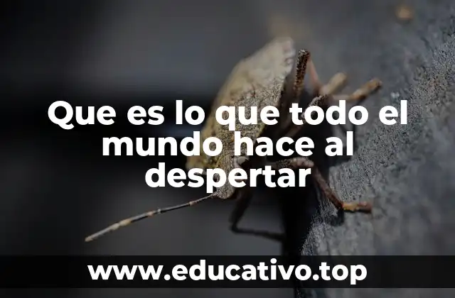 Que es lo que todo el mundo hace al despertar