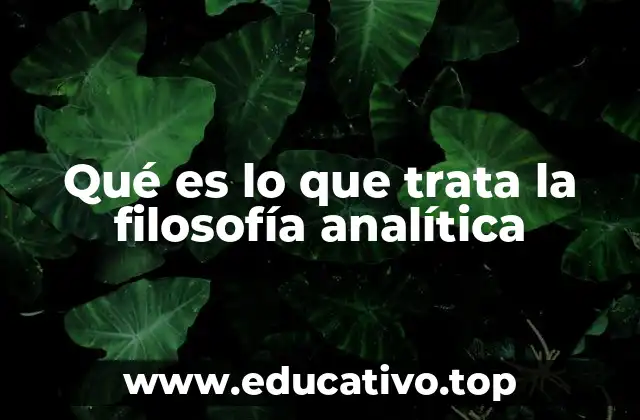 Qué es lo que trata la filosofía analítica