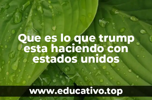 Que es lo que trump esta haciendo con estados unidos