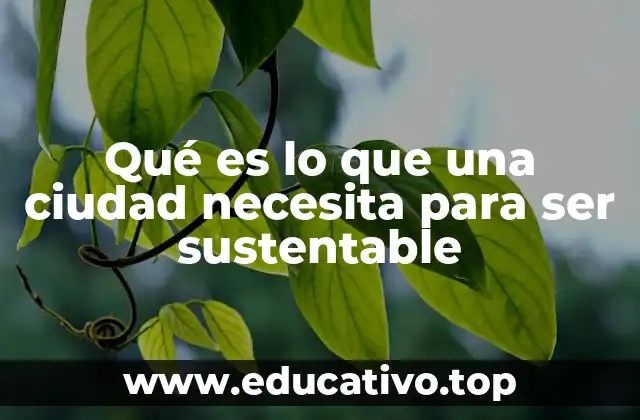 Qué es lo que una ciudad necesita para ser sustentable