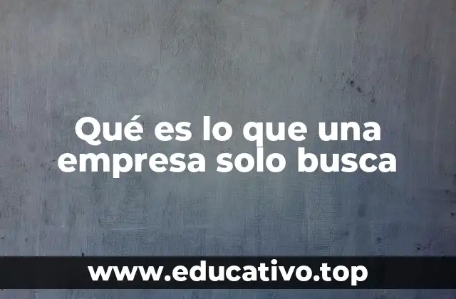 Qué es lo que una empresa solo busca