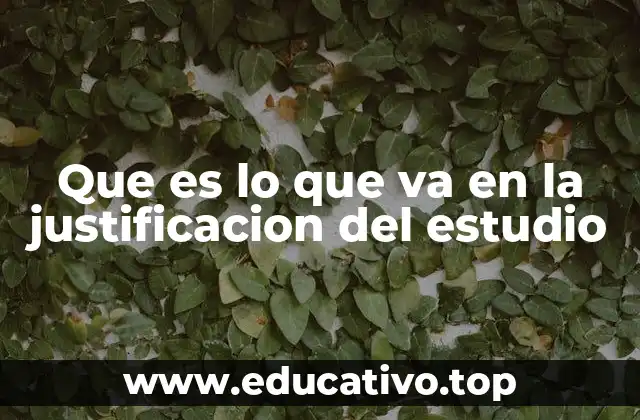 Que es lo que va en la justificacion del estudio
