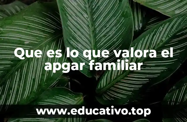 Que es lo que valora el apgar familiar