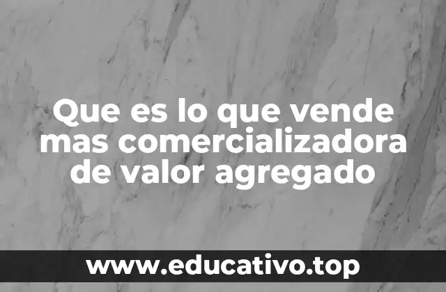 Que es lo que vende mas comercializadora de valor agregado