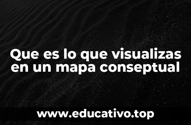 Que es lo que visualizas en un mapa conseptual