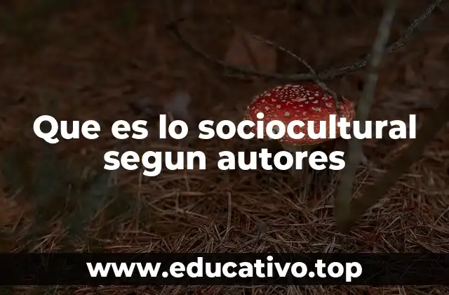 Que es lo sociocultural segun autores