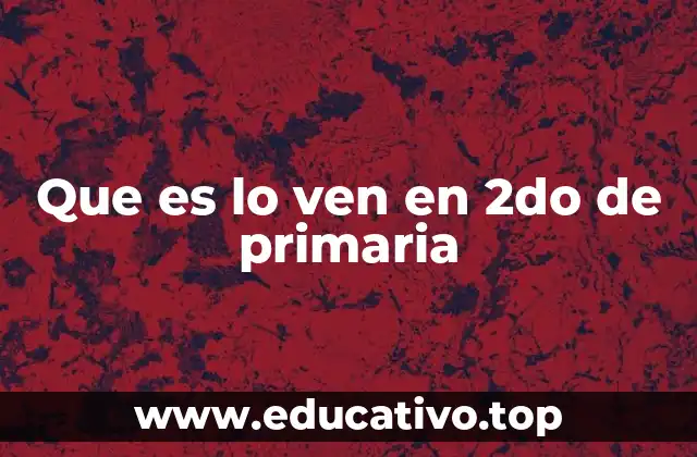 ¿Cómo se estructuran las clases en segundo grado?