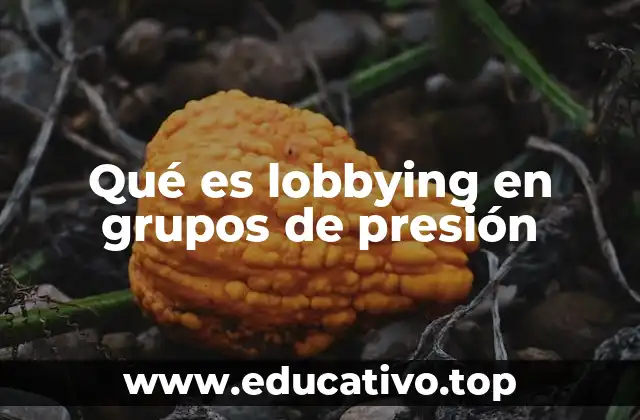 Qué es lobbying en grupos de presión