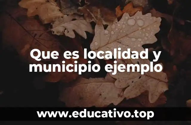 Que es localidad y municipio ejemplo