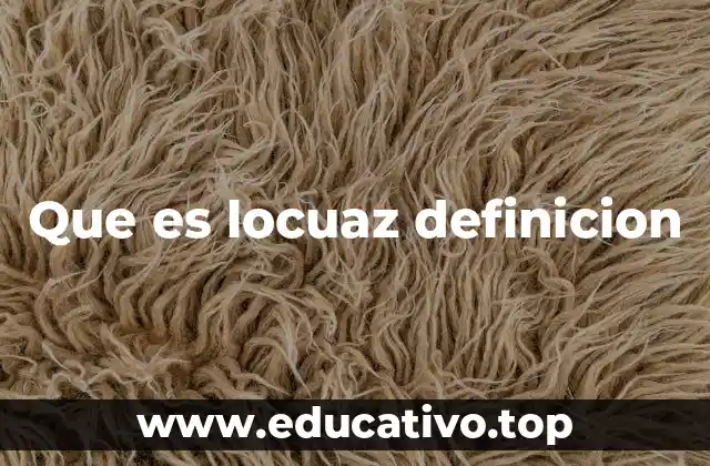 Que es locuaz definicion