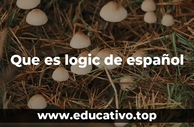 Que es logic de español