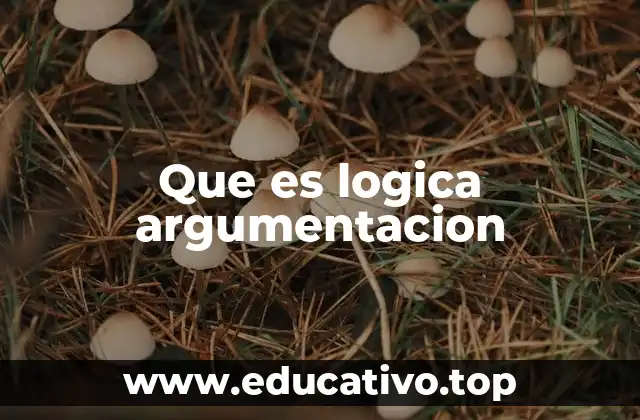Que es logica argumentacion
