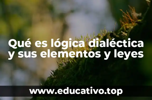 Qué es lógica dialéctica y sus elementos y leyes