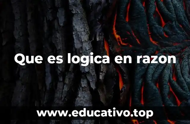 El papel de la lógica en la toma de decisiones