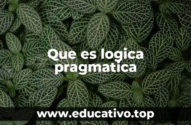 Que es logica pragmatica