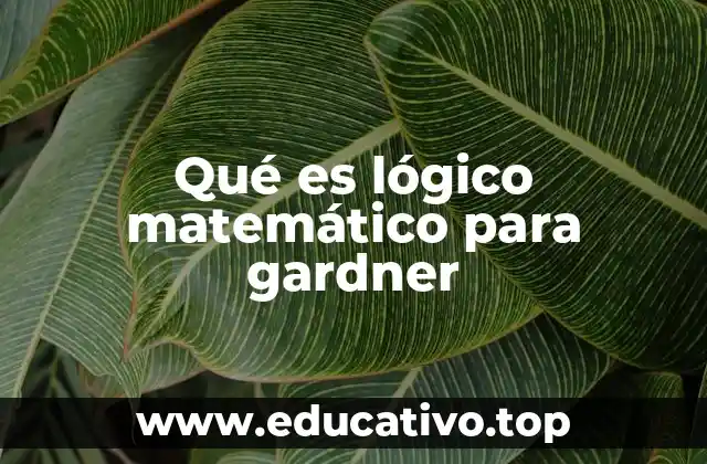 Qué es lógico matemático para gardner