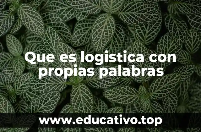 Que es logistica con propias palabras