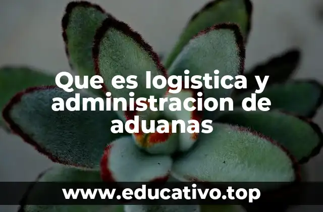 Que es logistica y administracion de aduanas