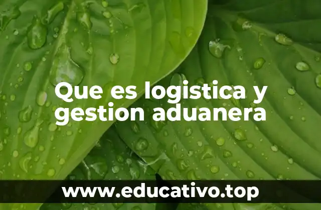 Que es logistica y gestion aduanera