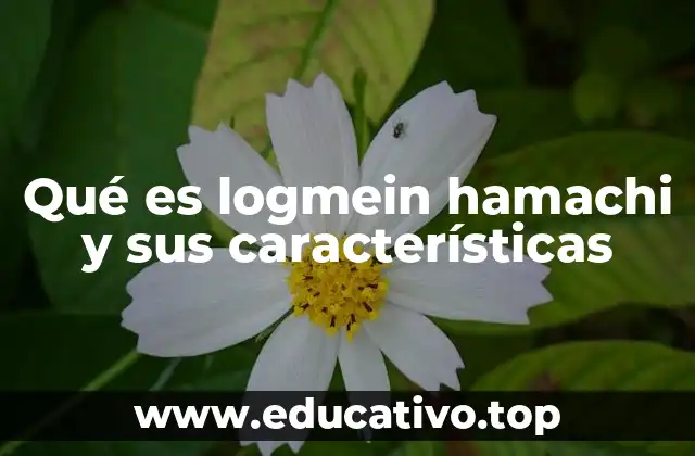 Cómo funciona Hamachi sin mencionar directamente la palabra clave